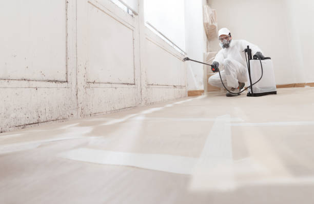 24/7 Emergency Mold Removal experts in Richmond, KY